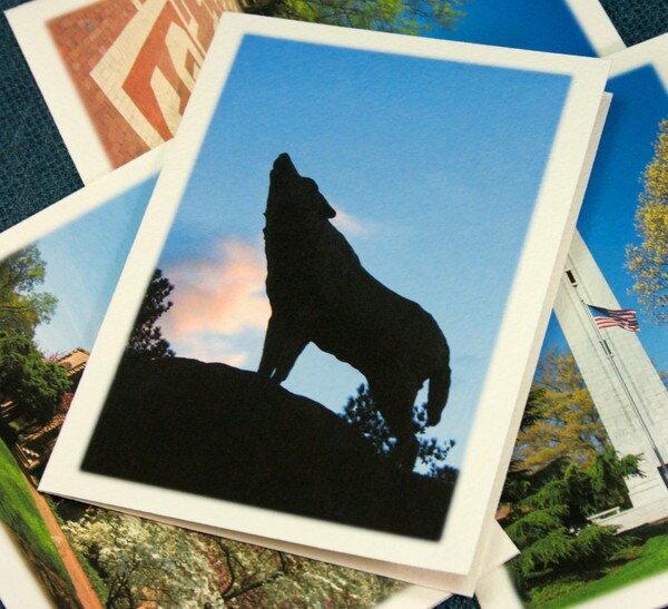 Note Card Collection, Set of 4